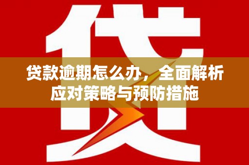 夏邑贷款逾期怎么办，全面解析应对策略与预防措施
