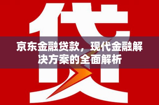 夏邑京东金融贷款，现代金融解决方案的全面解析