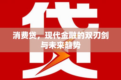 夏邑消费贷，现代金融的双刃剑与未来趋势