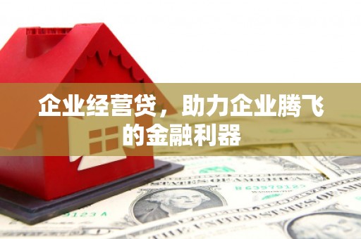 夏邑企业经营贷，助力企业腾飞的金融利器