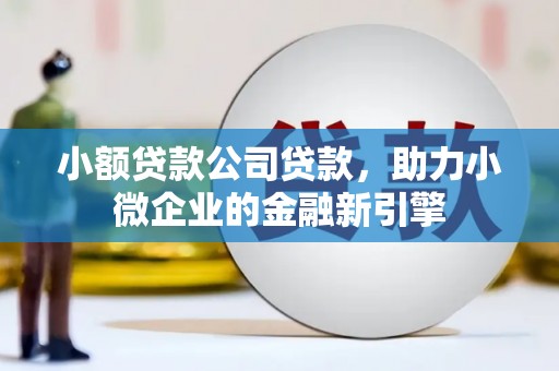 夏邑小额贷款公司贷款，助力小微企业的金融新引擎