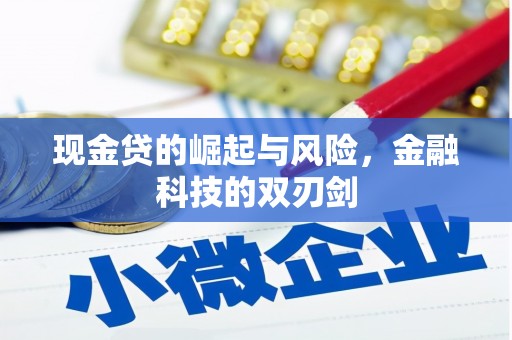 夏邑现金贷的崛起与风险，金融科技的双刃剑