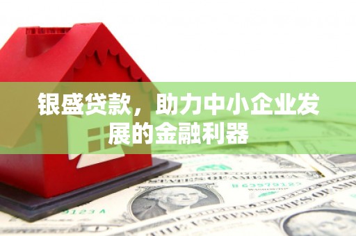 夏邑银盛贷款，助力中小企业发展的金融利器