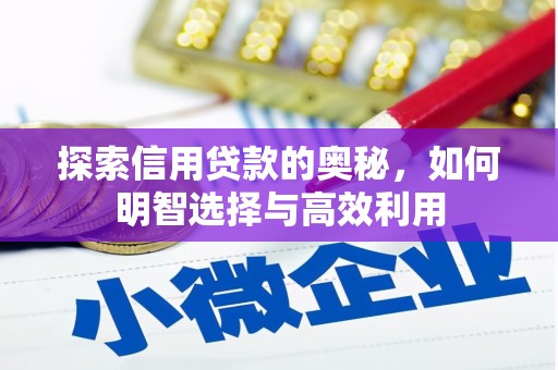 夏邑探索信用贷款的奥秘，如何明智选择与高效利用
