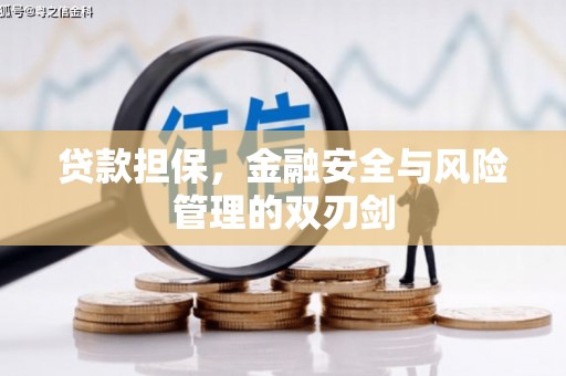 夏邑贷款担保，金融安全与风险管理的双刃剑