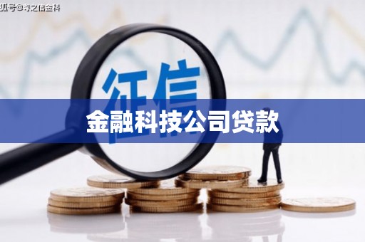 夏邑金融科技公司贷款