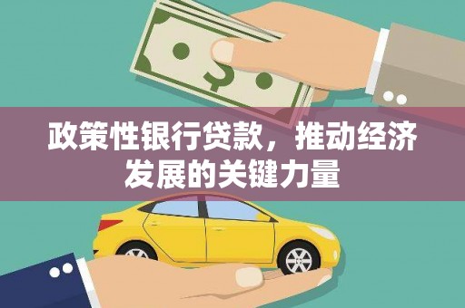 夏邑政策性银行贷款，推动经济发展的关键力量