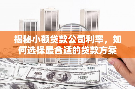 夏邑揭秘小额贷款公司利率，如何选择最合适的贷款方案