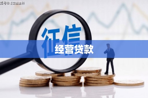 夏邑经营贷款