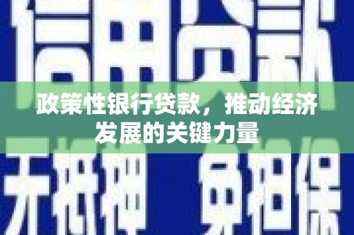 夏邑政策性银行贷款，推动经济发展的关键力量