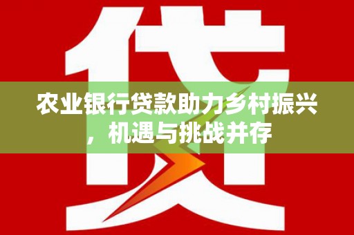 夏邑农业银行贷款助力乡村振兴，机遇与挑战并存