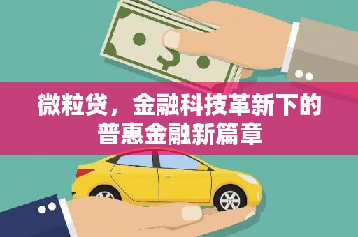 夏邑微粒贷，金融科技革新下的普惠金融新篇章