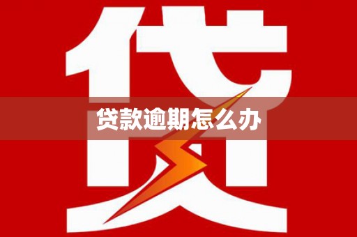 夏邑贷款逾期怎么办