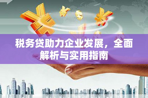 夏邑税务贷助力企业发展，全面解析与实用指南