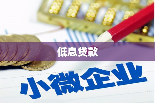 夏邑低息贷款