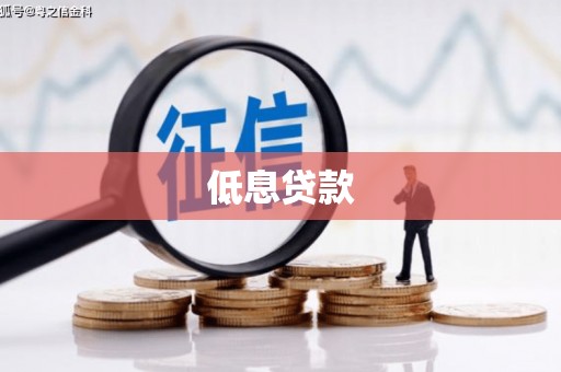 夏邑低息贷款