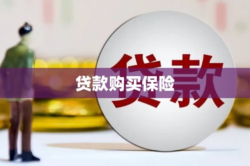 夏邑贷款购买保险