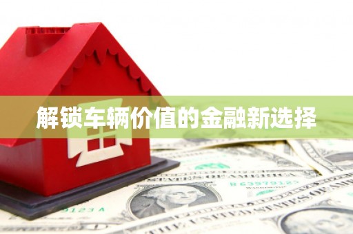 夏邑解锁车辆价值的金融新选择