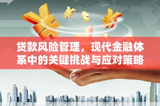 夏邑贷款风险管理，现代金融体系中的关键挑战与应对策略