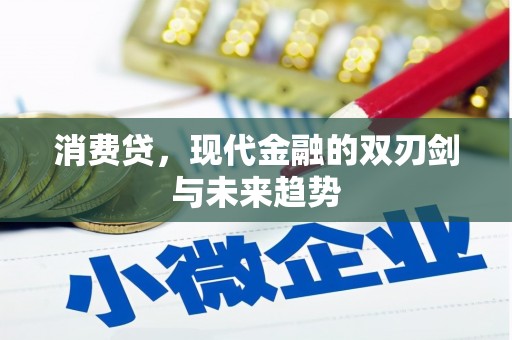 夏邑消费贷，现代金融的双刃剑与未来趋势