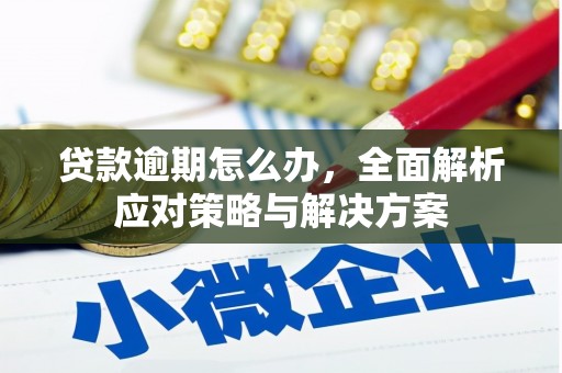 夏邑贷款逾期怎么办，全面解析应对策略与解决方案