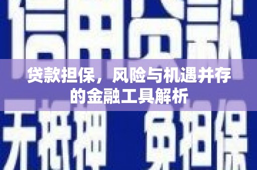 夏邑贷款担保，风险与机遇并存的金融工具解析