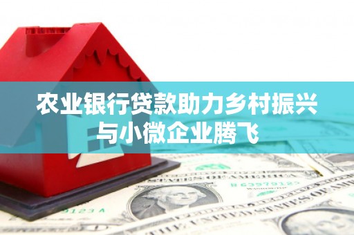夏邑农业银行贷款助力乡村振兴与小微企业腾飞