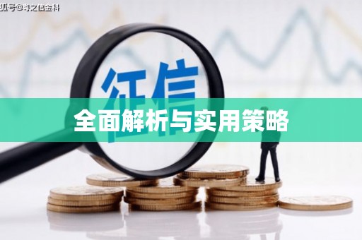 夏邑全面解析与实用策略