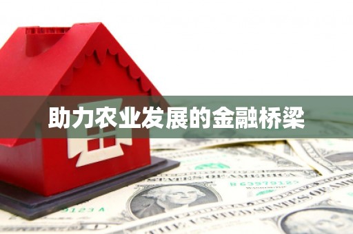 夏邑助力农业发展的金融桥梁