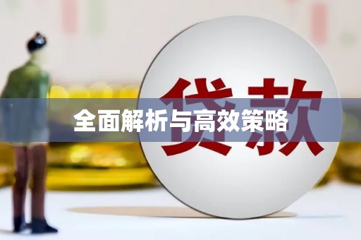 夏邑全面解析与高效策略
