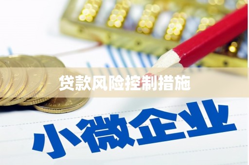 夏邑贷款风险控制措施