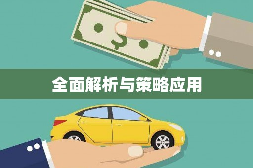 夏邑全面解析与策略应用