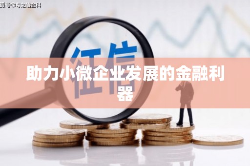 夏邑助力小微企业发展的金融利器