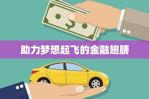 夏邑助力梦想起飞的金融翅膀