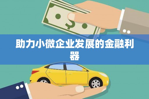 夏邑助力小微企业发展的金融利器