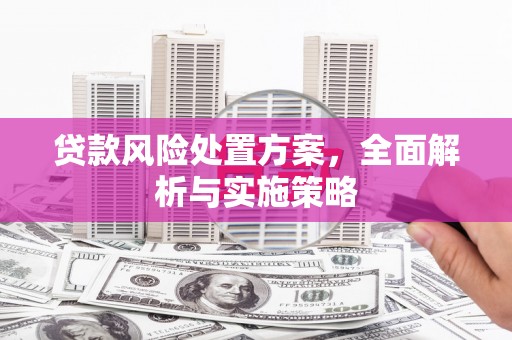 夏邑贷款风险处置方案，全面解析与实施策略