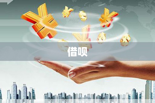 夏邑借呗