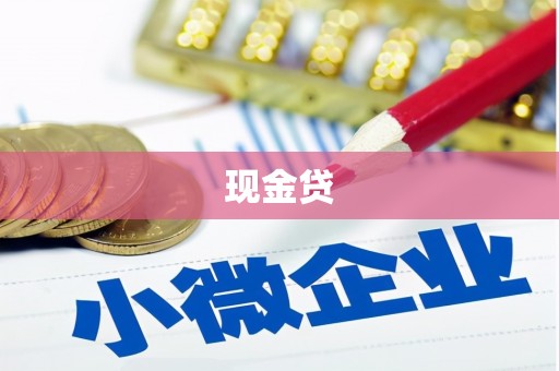 夏邑现金贷