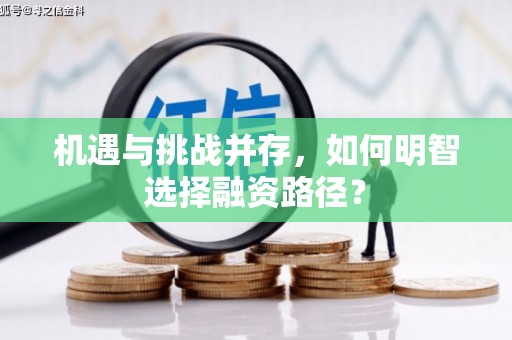 夏邑机遇与挑战并存，如何明智选择融资路径？