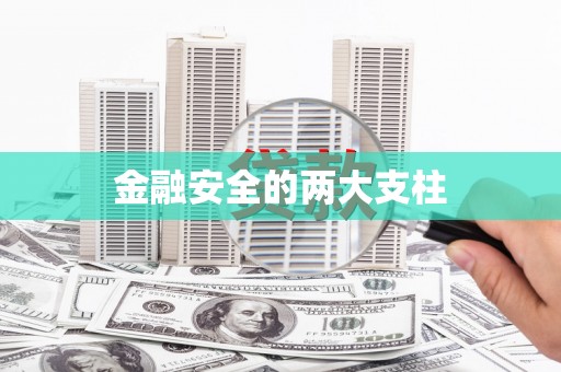 夏邑金融安全的两大支柱