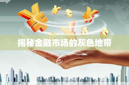 夏邑揭秘金融市场的灰色地带