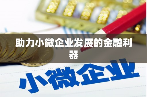 夏邑助力小微企业发展的金融利器