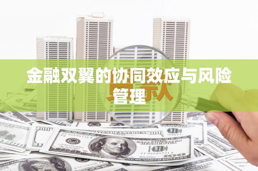 夏邑金融双翼的协同效应与风险管理