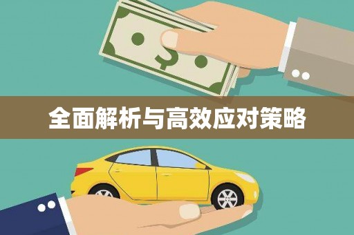 夏邑全面解析与高效应对策略