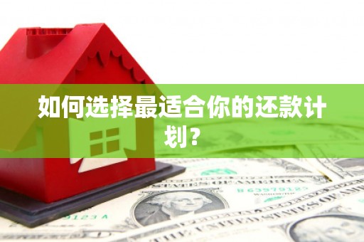 夏邑如何选择最适合你的还款计划？