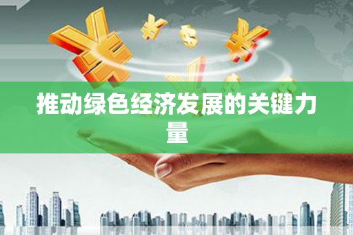 夏邑推动绿色经济发展的关键力量
