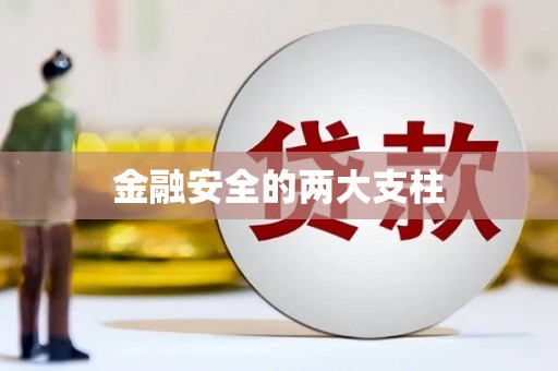 夏邑金融安全的两大支柱