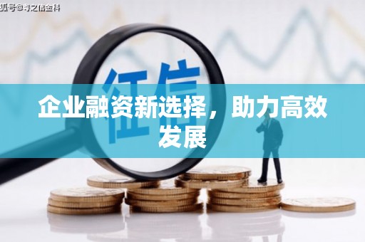 夏邑企业融资新选择，助力高效发展