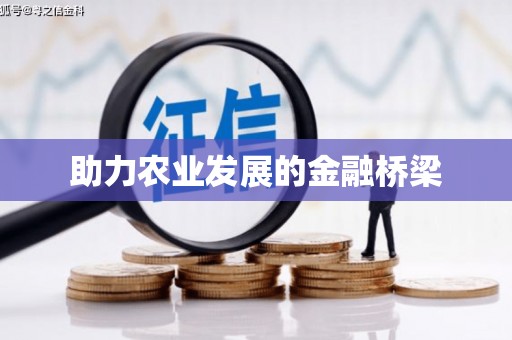 夏邑助力农业发展的金融桥梁