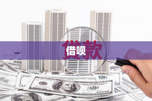 夏邑借呗